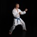 Кимоно для каратэ Inazuma Gi