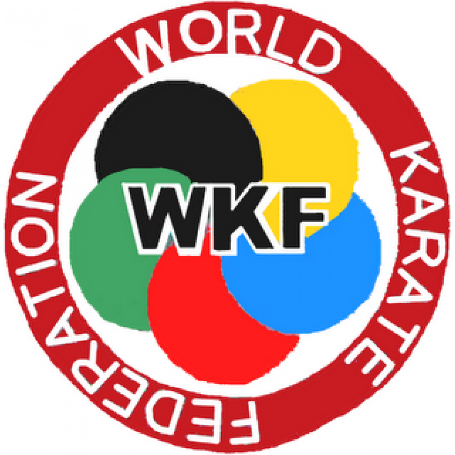 Перчатки для карате с защитой большого пальца с лицензией WKF