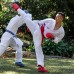 Защита голени и стопы с лицензией WKF Защита голени и стопы с лицензией WKF